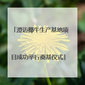 澄迈椰牛生产基地项目成功举行奠基仪式